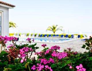 Meridien Beach Hotel - Argassi - 5