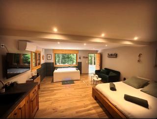 Chalet 15 personne en forêt avec Netflix and Canal - L'Espérou - 4
