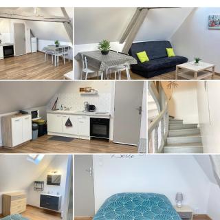 A&J COSY - Neuvy sur Loire - Guédelon - Neuvy-sur-Loire - 9