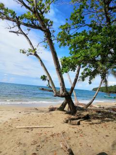 Hotel Boutique D Angelo - Manzanillo - 9