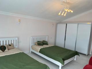 Dalyan Baysal Konakları - Okçular - 3