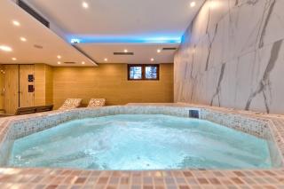 Vila Zlatibor SPA & Wellness - Zlatibor - 7