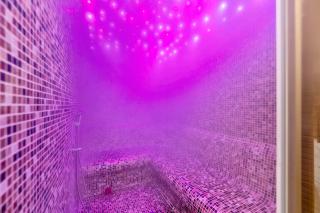 Vila Zlatibor SPA & Wellness - 5