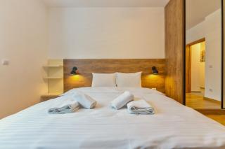 Vila Zlatibor SPA & Wellness - Zlatibor - 1