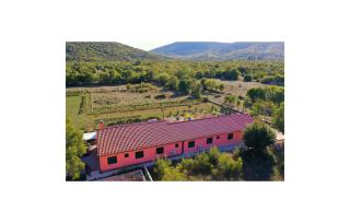 Nice Home In Prapatnica- Seget - Prapatnica - 4