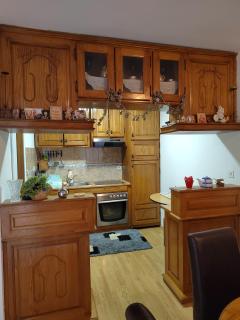 Banja Koviljaca Centar Apartman - Banja Koviljača - 4