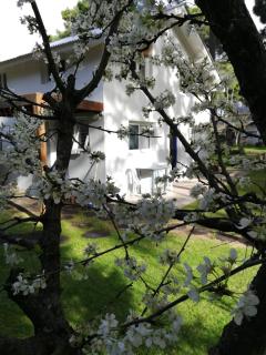 Blau Marí -la casa- cerca de UADE - Pinamar - 1