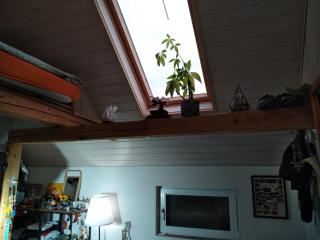 Gemütliches Maisonette Studio in der Natur auf dem Raihof - - 5