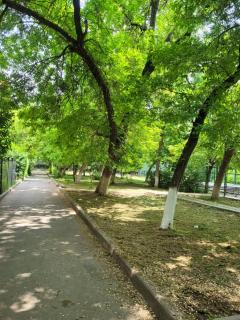 Traveler - Shymkent - 1