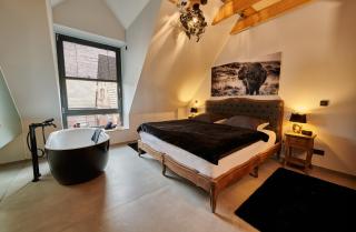 Ferienwohnungen und Zimmer Hof Holtmann - Münster - 8