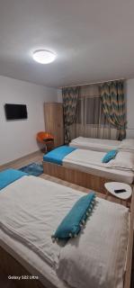 Hotel Jolie - Brazii de Sus - 2
