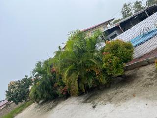 Green Oasis Wellness Lodge - 8