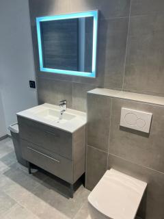 Appartement T2, neuf, climatisé avec terrrasse - Aix-les-Bains - 9