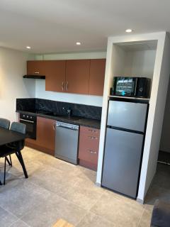 Appartement T2, neuf, climatisé avec terrrasse - Aix-les-Bains - 1