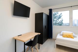 Ideal für Monteure 2 Zimmer Apartment mit Küche, Waschmaschine, Bad, WiFi, Flat TV usw - Nietleben - 5