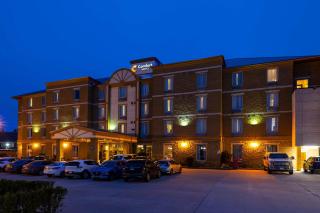 Comfort Hotel Bayer's Lake - Halifax - 8