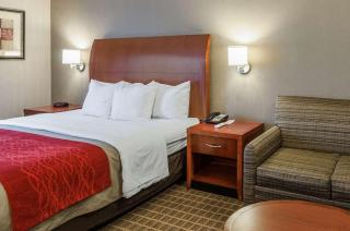 Comfort Inn & Suites - West Springfield - 4