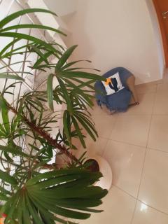 Duplex imbatível com sala de tv privativa e melhor localização de Lagoa Santa-MG! - Lagoa Santa - 3