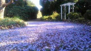 The Old Church Bed and Breakfast - Boonah - 4