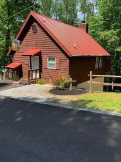 Jungle Fever Honeymoon Cabin Hot Tub - Sevierville - 0