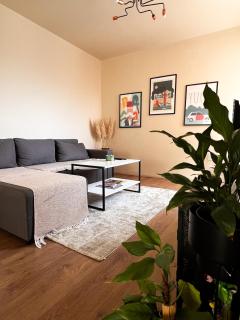 Madera Apartment - Kragujevac - 0
