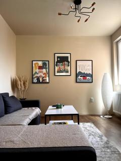 Madera Apartment - Kragujevac - 9