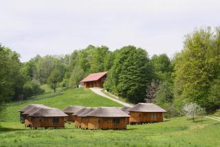Glamping Bionic healing village - Slovenska Bistrica - 8