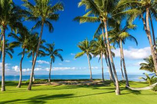 Remodeled Beachfront Estate, Magnificent Mango Surf - Kihei - 9