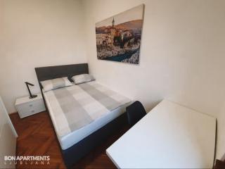 Huge BBQ Garden 2, Spacious Flat, AC, Free Parking 2 - Lubiana - 1