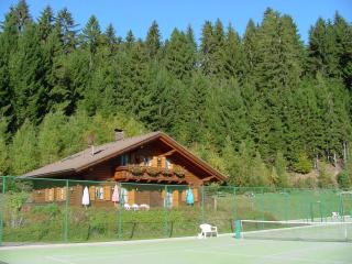 Ferienhaus Glocknerhaus In Berg Im Drautal - Berg im Drautal - 0