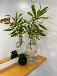 Morning Sun Place Tahaa - 2