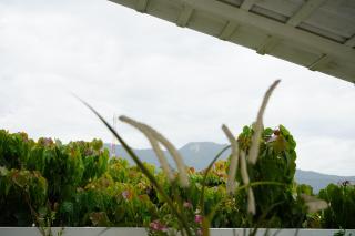 203 Sueños Caribeños en Don Juan - San Felipe de Puerto Plata - 2
