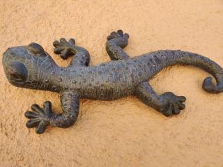 EL Gecko - Alcossebre - 8