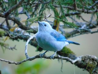 ANCESTRAL GLAMPING - 9