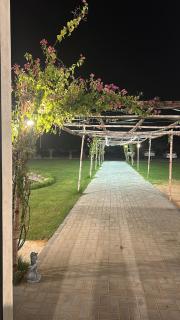 The farm resort - Al Ain - 5