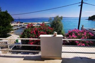 Apartments by the sea Kukljica, Ugljan - 24177 - 0