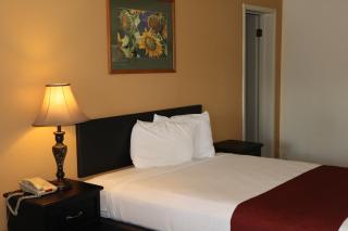 Black Canyon Motel - Montrose - 5