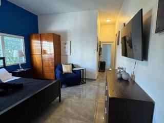 Elegant 1-Br Penthouse in Condado! - San Juan - 6