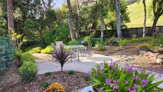 Amitabha Wine Country Cottage - Santa Rosa - 3