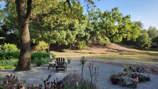 Amitabha Wine Country Cottage - Santa Rosa - 1