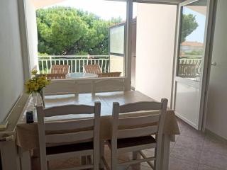Inviting 2-bedroom apartment by the beach - Brodarica - 0
