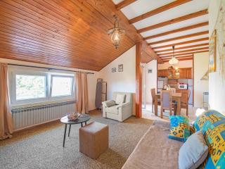 Spacious holiday apartment in Brodarica - Brodarica - 5