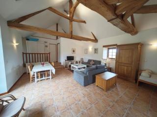 Charmante demeure 17e avec piscine privative, grand jardin et patrimoine riche en Touraine Sud. - FR-1-381-368 - Abilly-Sur-Claise - 4