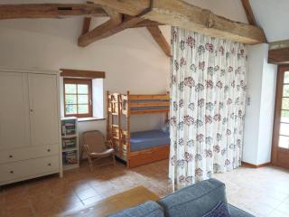 Charmante Demeure du 17e en Touraine avec Piscine Privée - FR-1-381-368 - 1