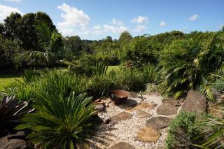 Mango Packing Shed - Bangalow - 7