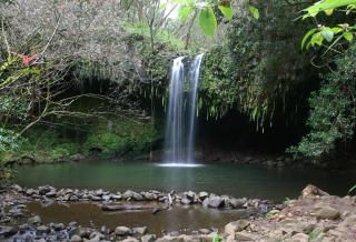 North Shore of Maui - 2bd minutes from beach and waterfalls - Haiku - 3