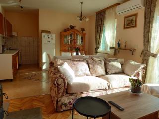 Three bedroom apartment with sea view - Ražanac - 9