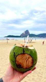 Flat Santos Dumont - Rio de Janeiro - 1