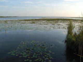 Studio Jungle avec terrasse et piscine chauffée près de Nantes - FR-1-306-1304 - 6