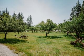 The Orchard Sunshine Coast - Sechelt - 6